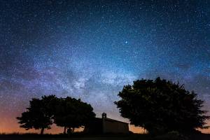 Véronique LARRUE - LARRUE VERONIQUE