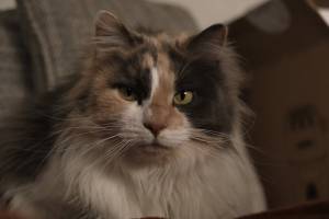 1775659473758645353-picture.jpeg
